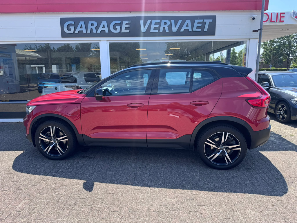 56008516